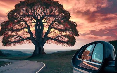 If you aren’t driving, who is?